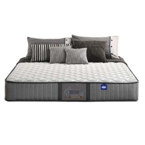 Dreamland's Chiro® Essential III | King