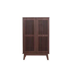 Laney 2 Door Shoe Cabinet