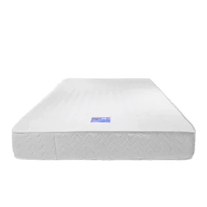 Dreamland’s Stamina Rebond Foam Queen Mattress