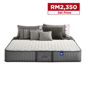 Dreamland's Chiro® Essential III (King)