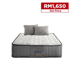 Dreamland's Chiro® Essential III (Super Single)