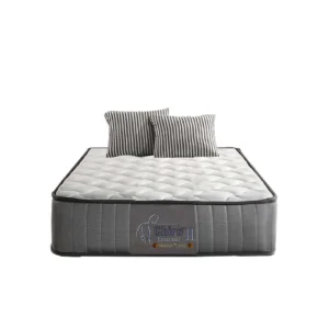 Dreamland's Chiro® Essential III (Super Single)