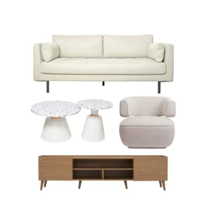 Minimalist Living Concept