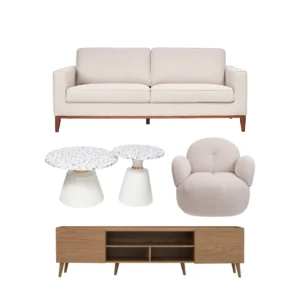 Minimalist Living Concept