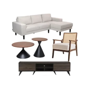 Modern Contemporary Living Set