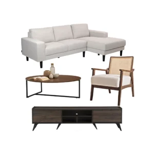 Modern Contemporary Living Concept