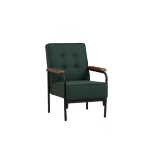 Dzire Armchair (Green)