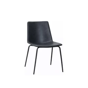 Ferro Dining Chair