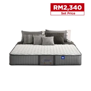 Dreamland's Chiro® Essential III | Queen