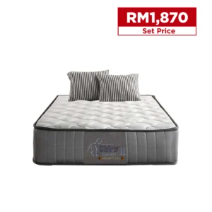 Dreamland's Chiro® Essential III | Super Single