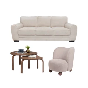 Modern Cozy Living Set