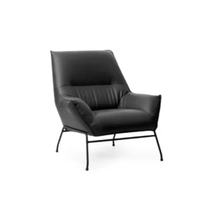 Teddy Lounge Chair | PU